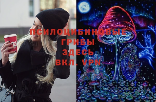 молекула духа Карпинск