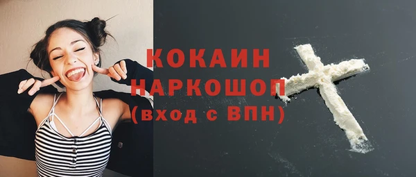 молекула духа Карпинск