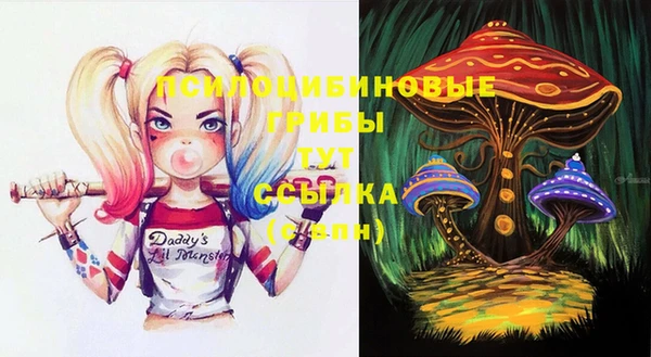 молекула духа Карпинск