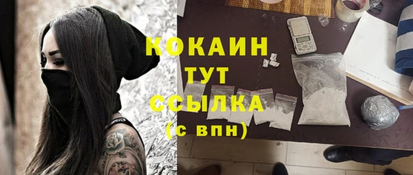 молекула духа Карпинск