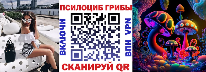 Купить закладки  Белоозёрский  Галлюциногенные грибы Psilocybe 